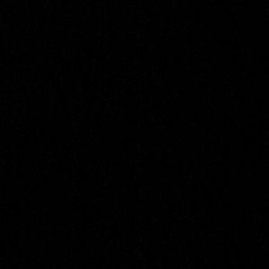 Meet your Posher, Paulette